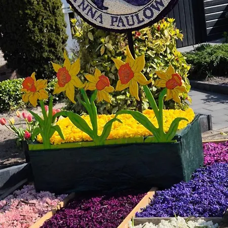 Superior Familiekamer 4 Personen Of Privekamer 2 Personen Homestay szállás *