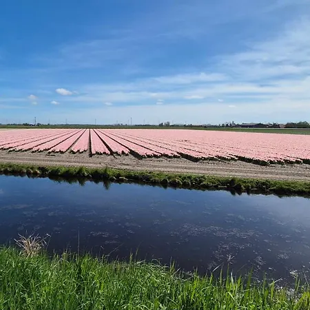 Rum i privatbostad Superior Familiekamer 4 Personen Of Privekamer 2 Personen *