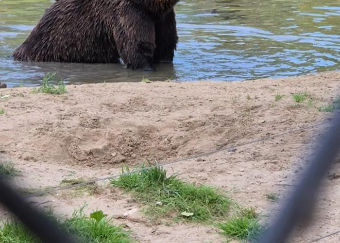 Superior Familiekamer 4 Personen Of Privékamer 2 Personen Alloggio in famiglia