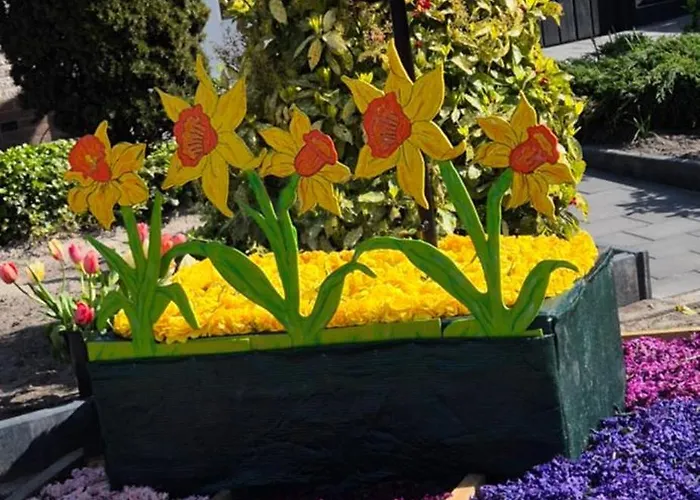 Superior Familiekamer 4 Personen Of Privékamer 2 Personen Alloggio in famiglia *