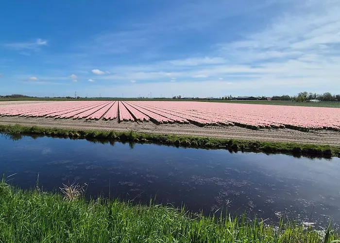 Alloggio in famiglia Superior Familiekamer 4 Personen Of Privékamer 2 Personen *