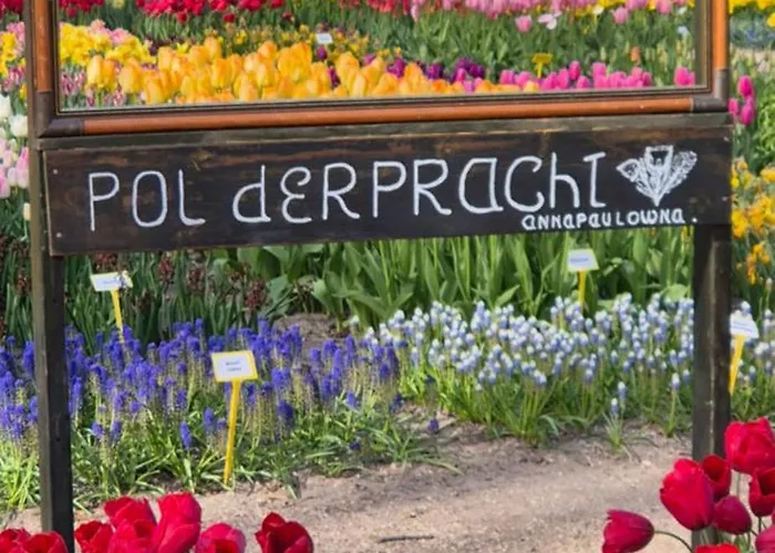 Superior Familiekamer 4 Personen Of Privékamer 2 Personen * Anna Paulowna