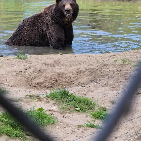 Superior Familiekamer 4 Personen Of Privekamer 2 Personen 民宿