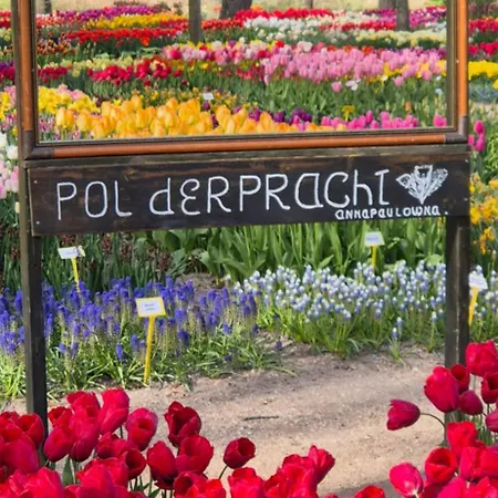 Superior Familiekamer 4 Personen Of Privekamer 2 Personen * Anna Paulowna